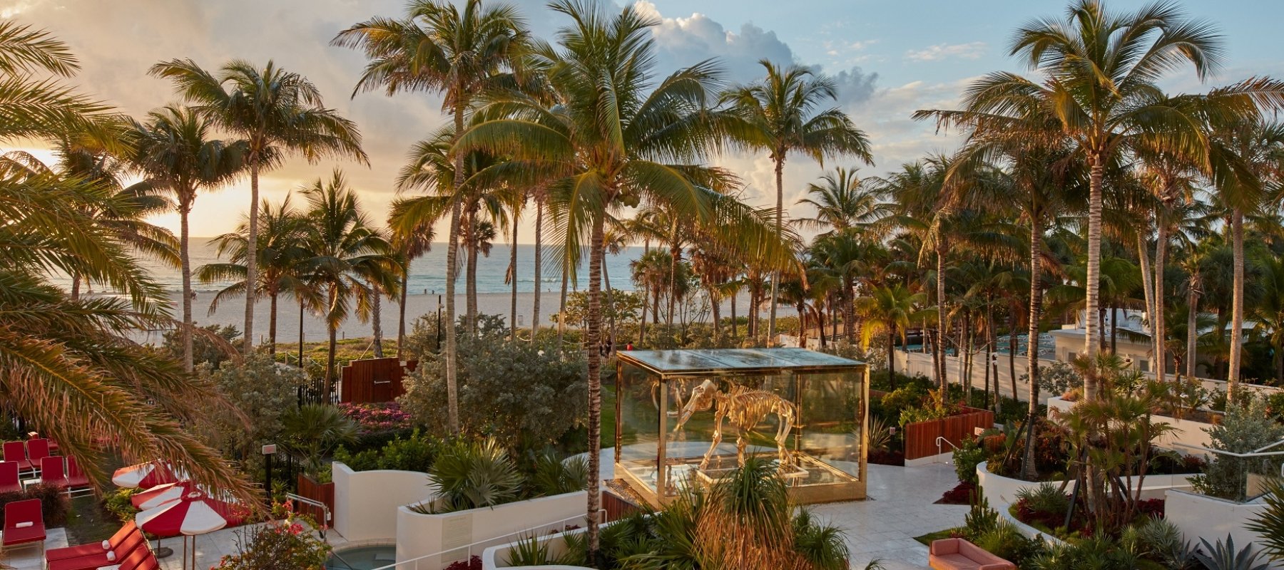 faena pool with many palm trees