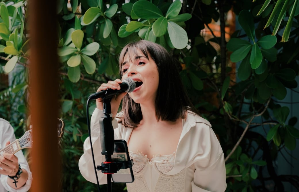 Live Music at Tree of Life