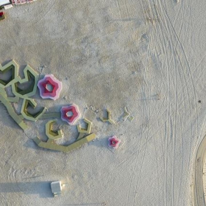 Aerial of an art exhibit on the beach