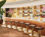 Fancy bar lined with stools