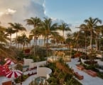 faena pool with many palm trees