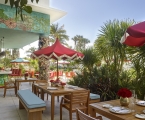 Tree of Life Sunbar outdoor seating