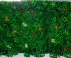 Wall of greenery