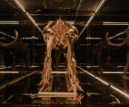 rear view of golden mammoth skeleton