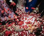 Samantha&David2024.8