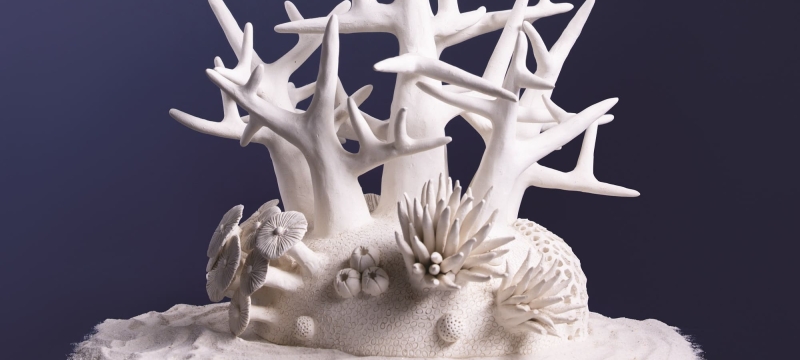 Coral Sculpture