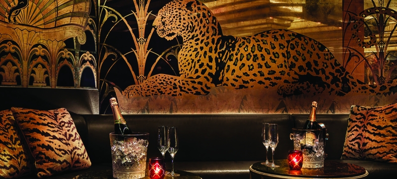 SAXONY BAR