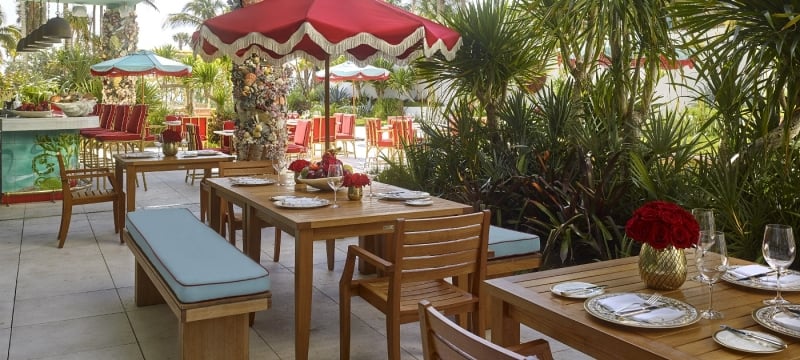 Tree of Life Sunbar outdoor seating