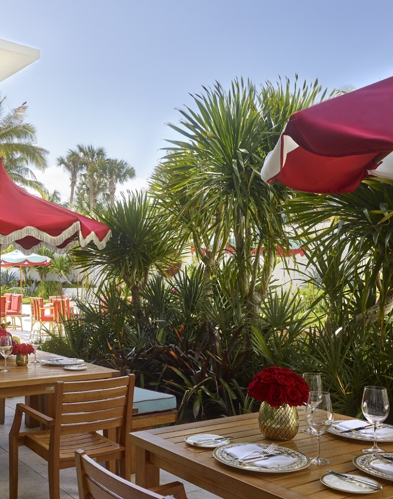 Tree of Life Sunbar outdoor seating