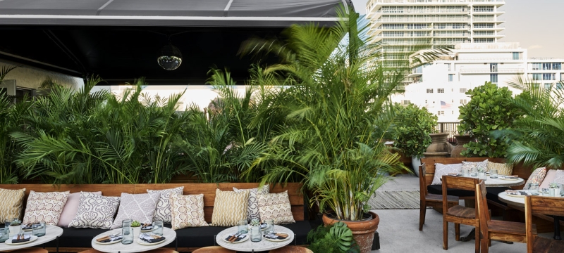 Gitano roof
