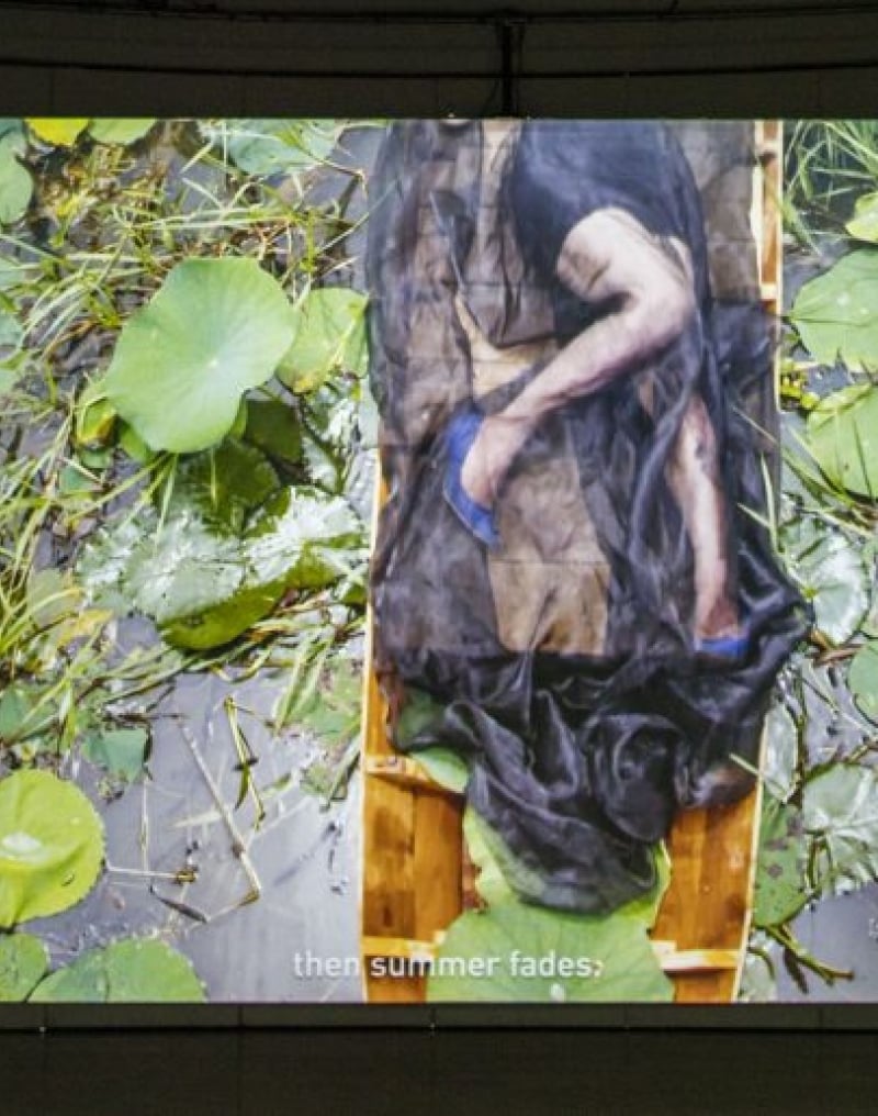 shadowed person looks at screen showing person in black laying in greenery