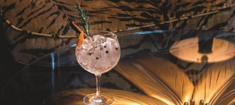 Gin and Tonic Living Room Cocktail