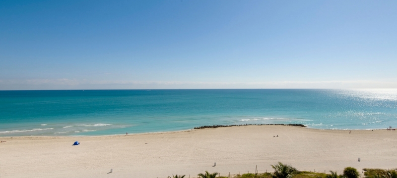 ocean on a sunny day