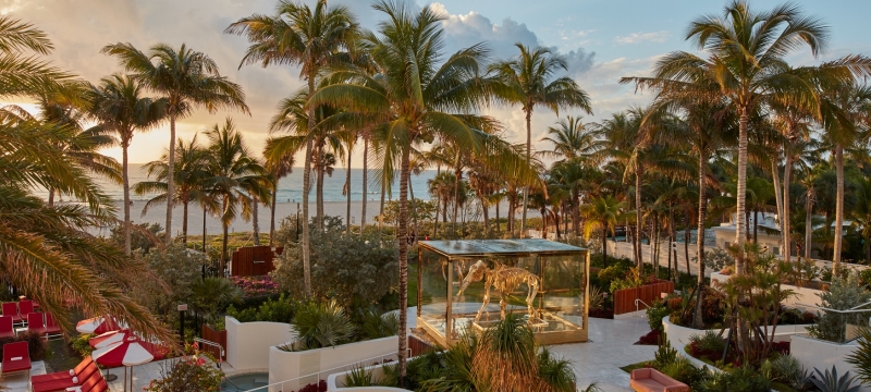 faena pool with many palm trees